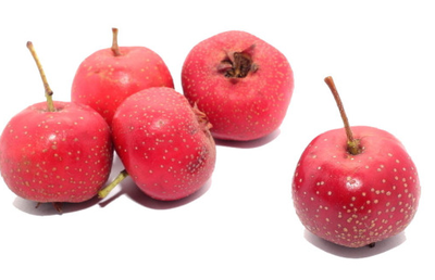 孕期可以吃柿子吗？营养师为您详解吃柿子的好处与注意事项