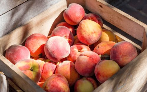 无经验开水果店 前期全面准备指南