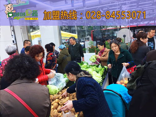 超市生鲜报价解析 水果类主流厂家与价格趋势